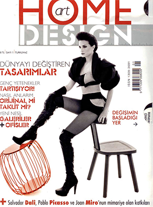 Home Art Design 2010/01